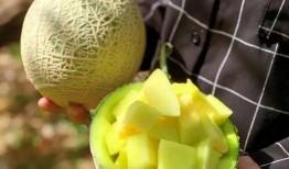 娱乐圈吃瓜壁纸高清图片,高清壁纸下的明星生活众生相